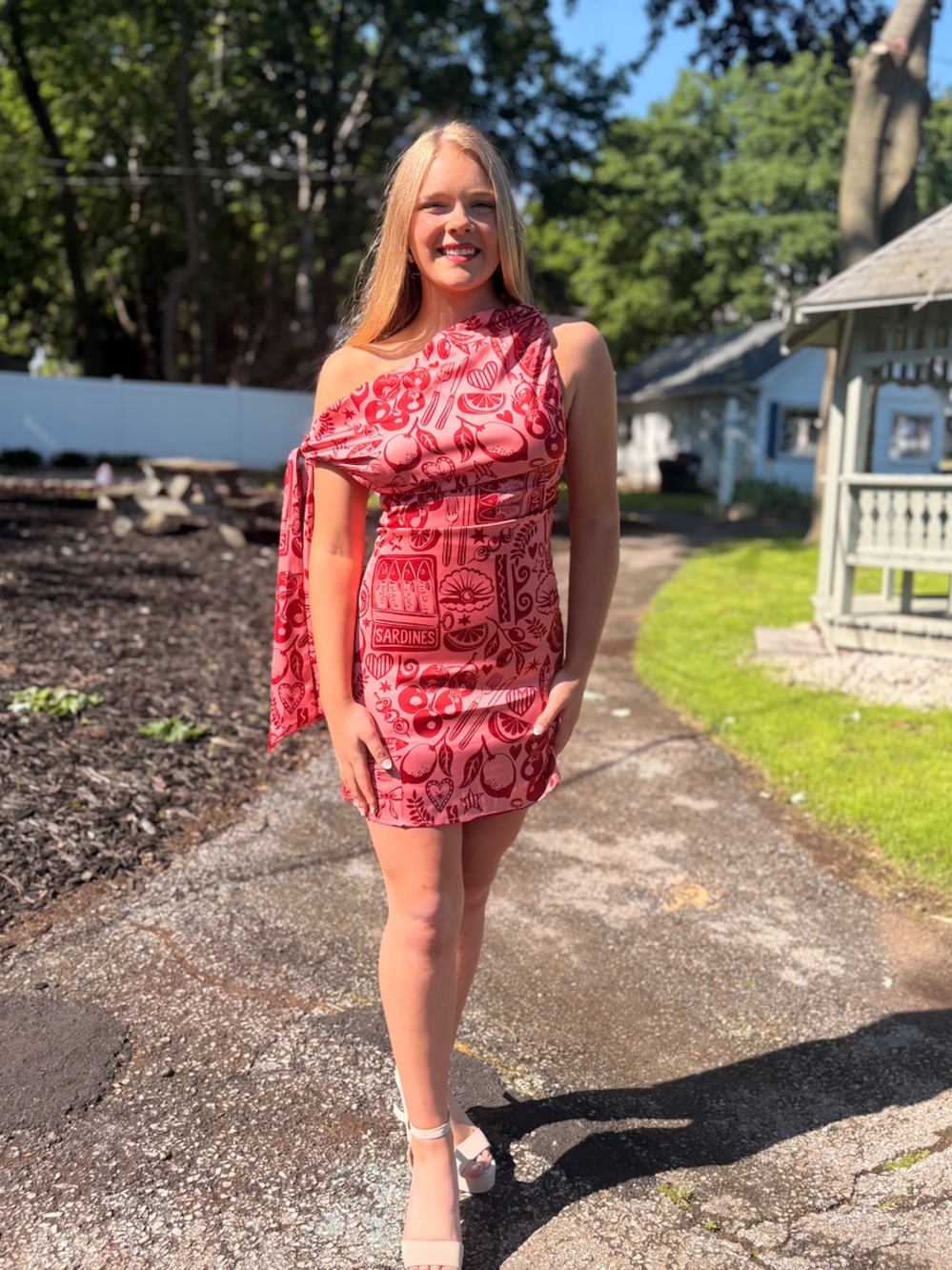Natasha Dress